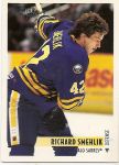 1994-95 Topps Premier #93 Richard Smehlik