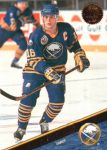 1993-94 Leaf #11 Brad Shaw Donruss